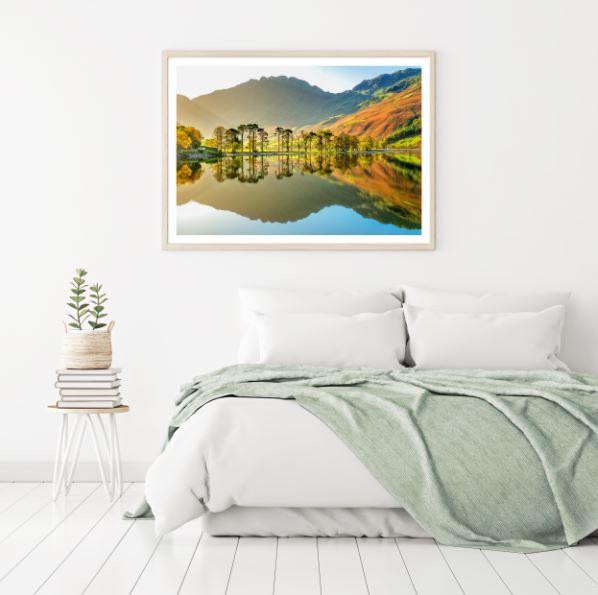 Lake & Forest Scenery Photograph Home Decor Premium Quality Poster Print Choose Your Sizes