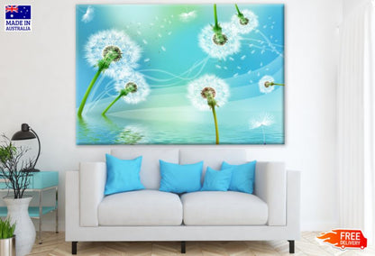 Dandelion Flowers Closeup Photograph Print 100% Australian Made