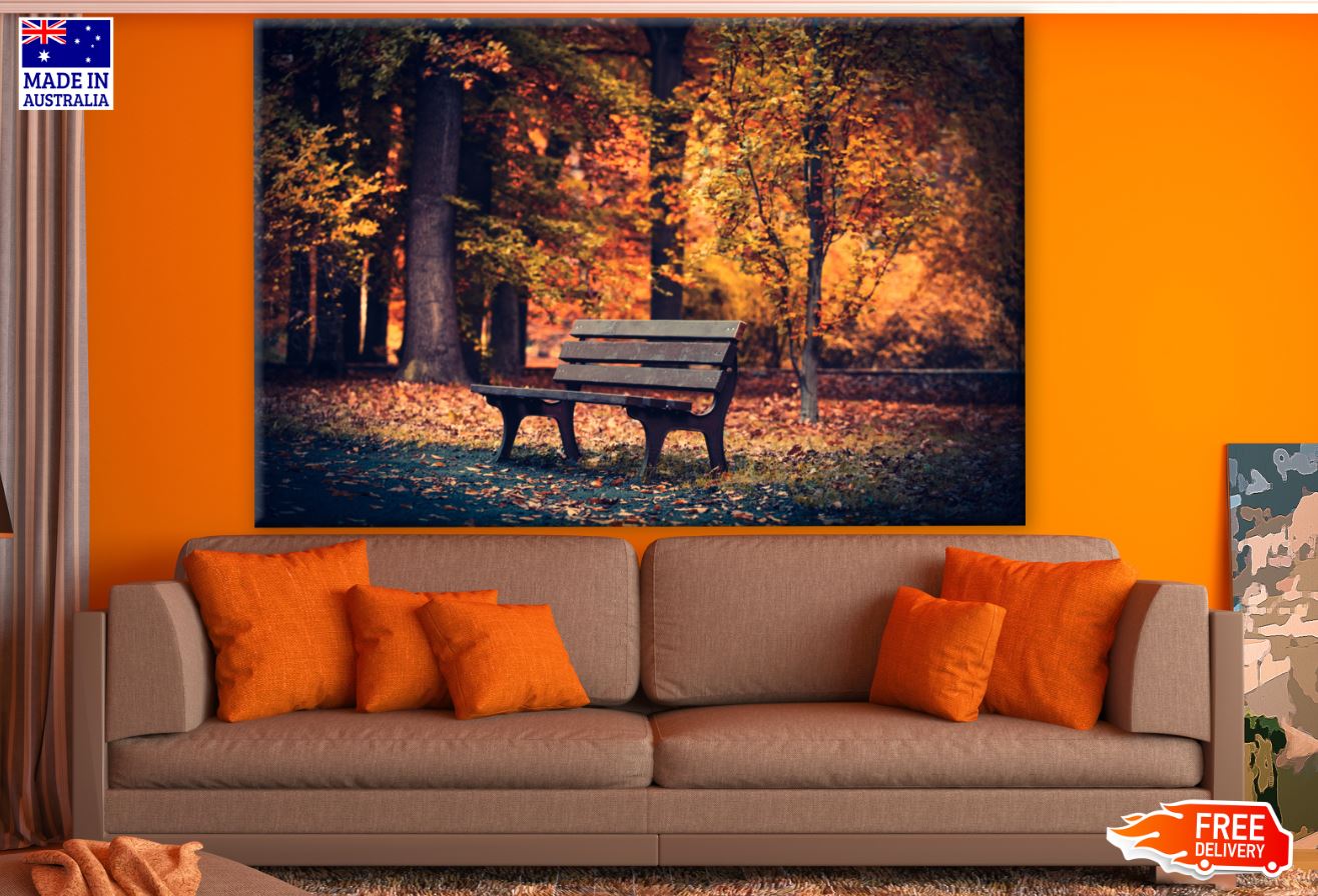 Bench in Autumn Forest Photograph Print 100% Australian Made