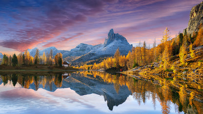 Lake & Forest Scenery Photograph Home Decor Premium Quality Poster Print Choose Your Sizes
