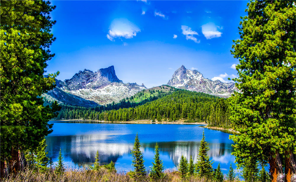 Lake & Forest Scenery Photograph Home Decor Premium Quality Poster Print Choose Your Sizes