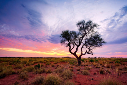 Tree in Field at Sunset Scenery Photograph Home Decor Premium Quality Poster Print Choose Your Sizes