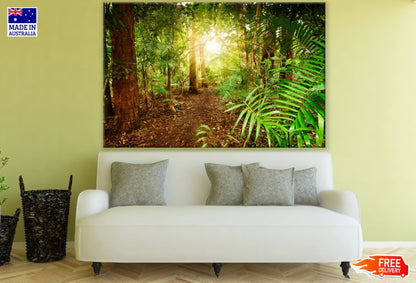 Deep Forest Photograph Print 100% Australian Made