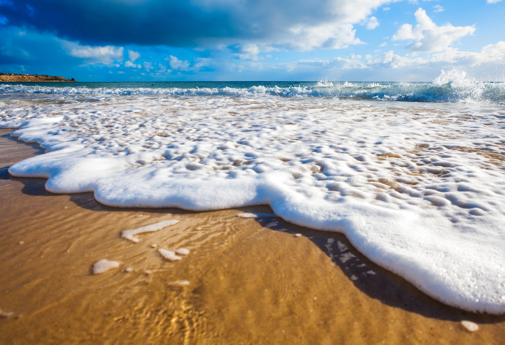 Sea Beach Closeup Photograph Print 100% Australian Made