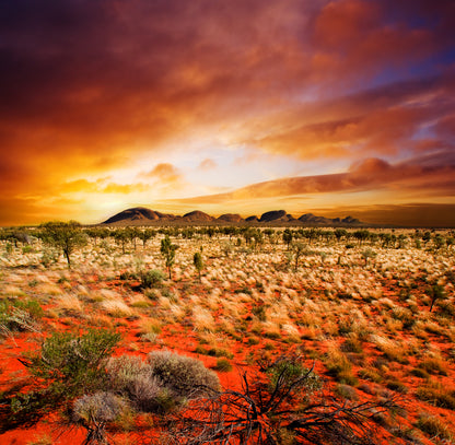 Square Canvas Nature Sunset View Photograph High Quality Print 100% Australian Made