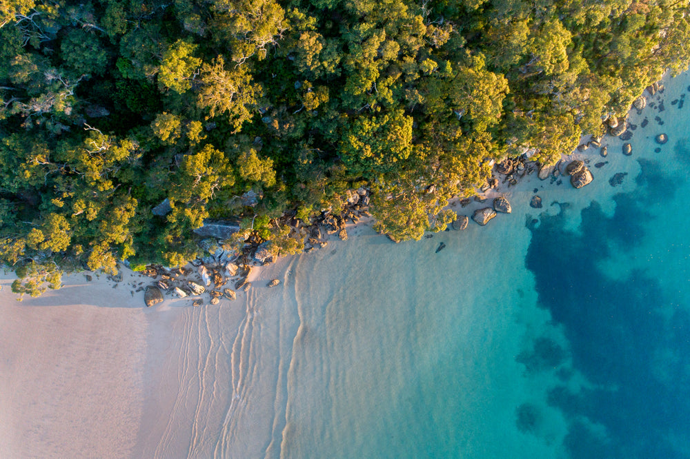 Sea & Forest Aerial View Photograph Print 100% Australian Made