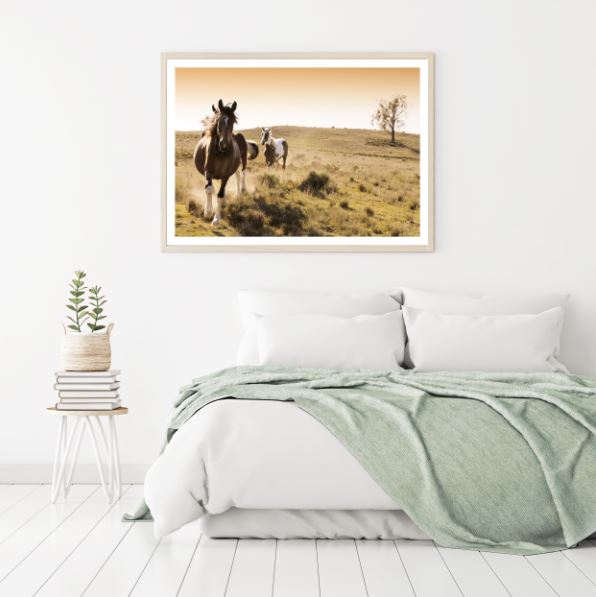 Horses Running On Meadow Photograph Home Decor Premium Quality Poster Print Choose Your Sizes