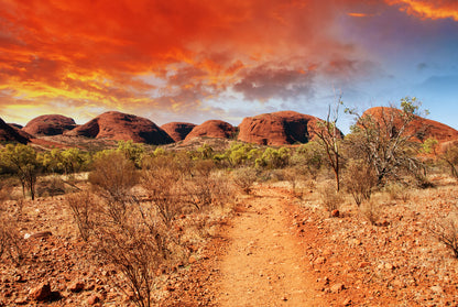 Sunset Valley Scenery Photograph Home Decor Premium Quality Poster Print Choose Your Sizes