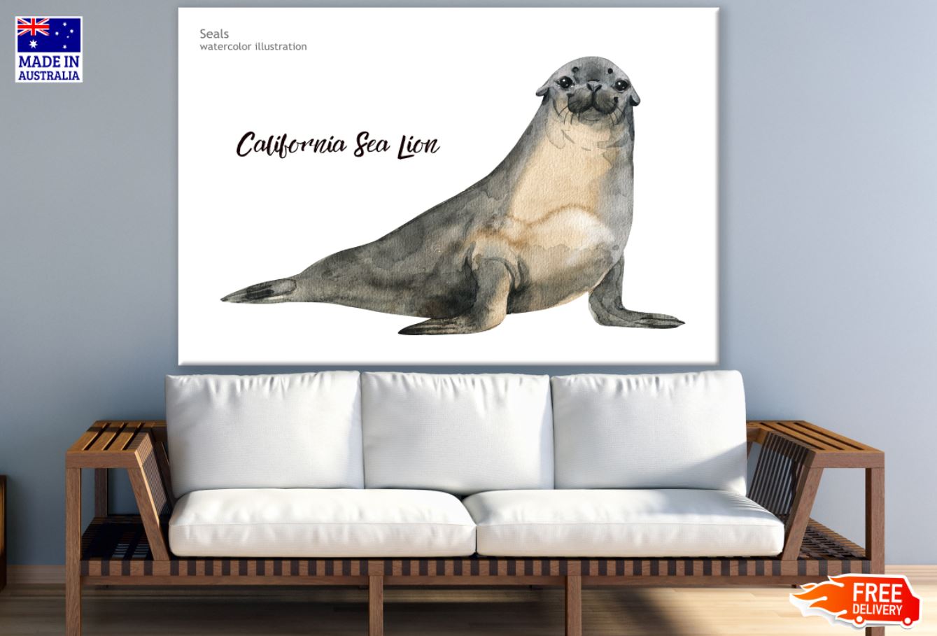 Sea Lion Watercolor Painting Print 100% Australian Made