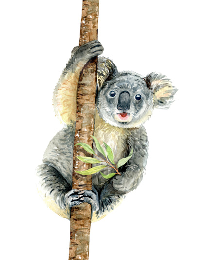 Koala Bear on a Tree Watercolor Painting Print 100% Australian Made