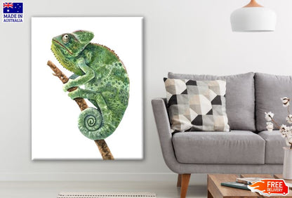 Green Chameleon Watercolor Painting Print 100% Australian Made