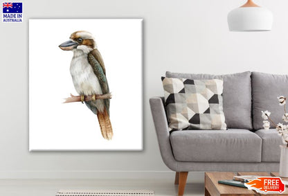 Kookaburra Bird Watercolor Painting Print 100% Australian Made