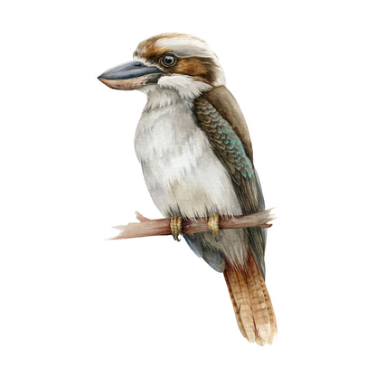 Kookaburra Bird Watercolor Painting Print 100% Australian Made