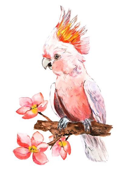 Cockatoo Bird Watercolor Painting Print 100% Australian Made