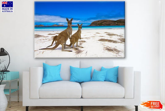 Kangaroos on Beach Scenery Photograph Print 100% Australian Made