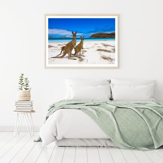 Kangaroos on Beach Phtogoraph Home Decor Premium Quality Poster Print Choose Your Sizes