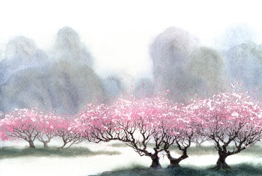 Blossom Trees Watercolor Painting Print 100% Australian Made