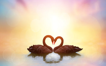 Swans on Lake Sunset Scenery View Home Decor Premium Quality Poster Print Choose Your Sizes