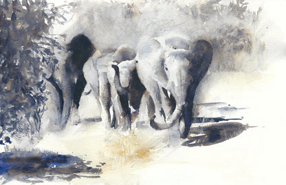 B&W Elephants Walking in Forest Watercolor Painting Print 100% Australian Made