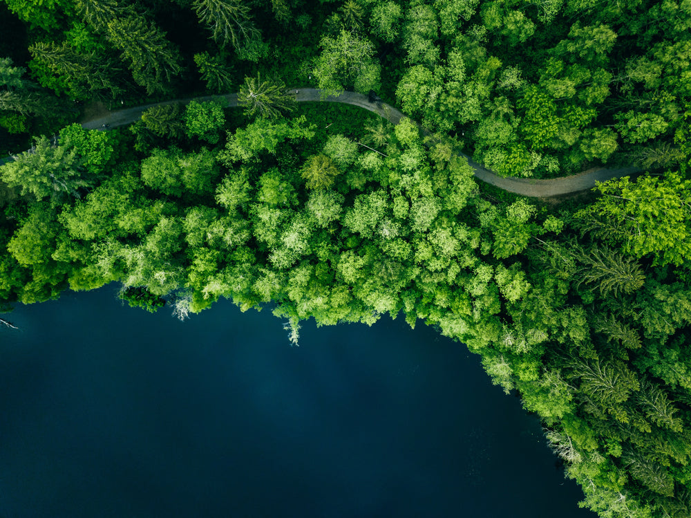 Aerial View of Road in Green Summer Forest & Lake Photograph Print 100% Australian Made