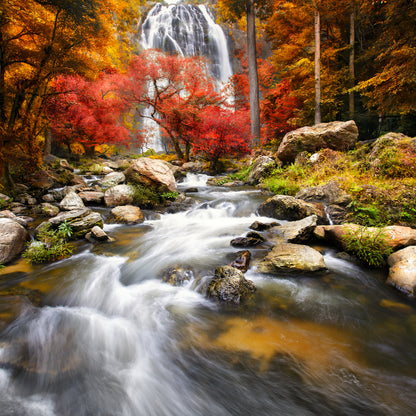 Square Canvas Waterstream in Forest Photograph High Quality Print 100% Australian Made