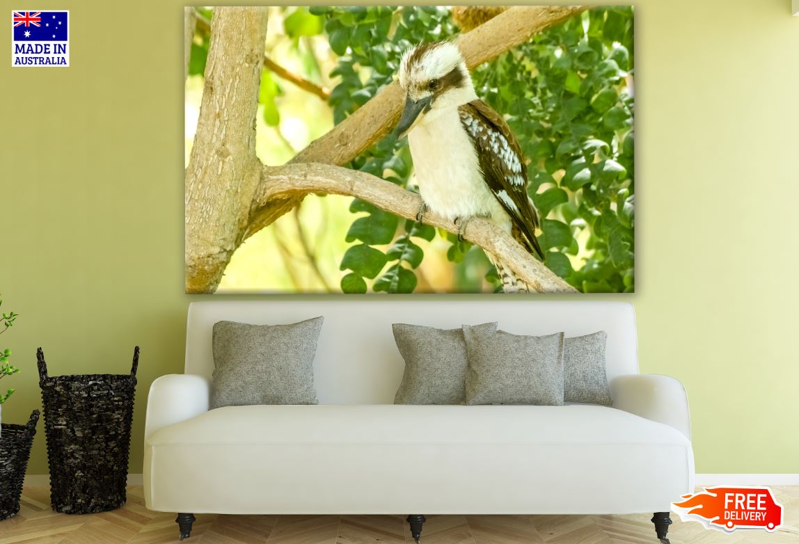 Bird Sitting on A Tree Branch Photograph Print 100% Australian Made