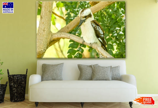 Bird Sitting on A Tree Branch Photograph Print 100% Australian Made