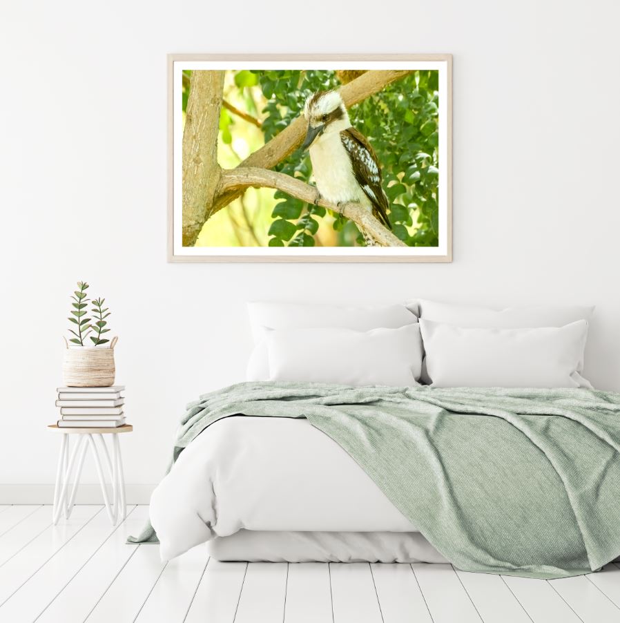 Kookaburra On Tree Photograph Home Decor Premium Quality Poster Print Choose Your Sizes