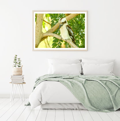 Kookaburra On Tree Photograph Home Decor Premium Quality Poster Print Choose Your Sizes