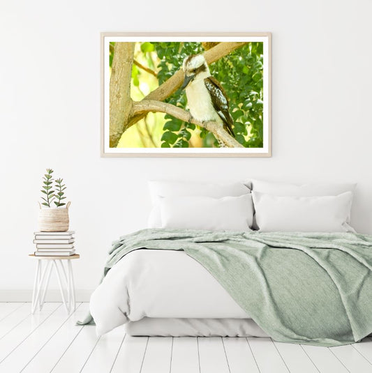 Kookaburra On Tree Photograph Home Decor Premium Quality Poster Print Choose Your Sizes