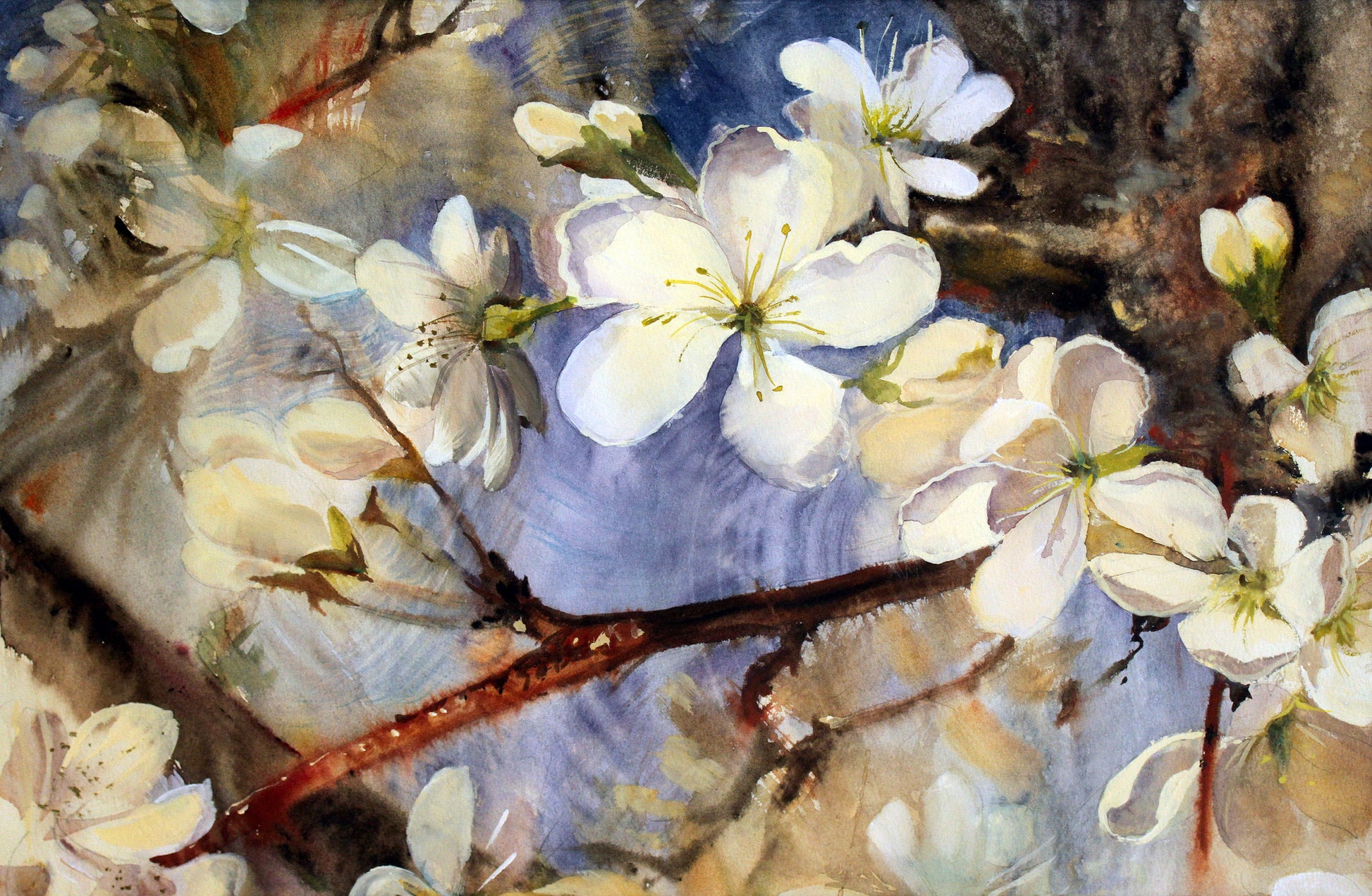 Colorful Flowers Watercolor Painting Print 100% Australian Made