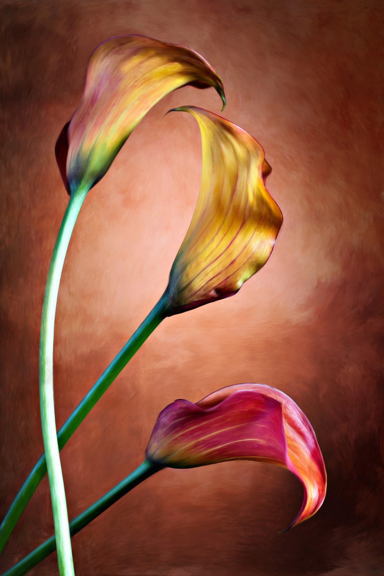 Flowers Watercolor Painting Print 100% Australian Made