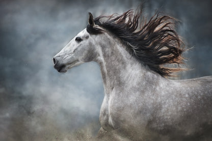 Horse Portrait Oil Painting Home Decor Premium Quality Poster Print Choose Your Sizes