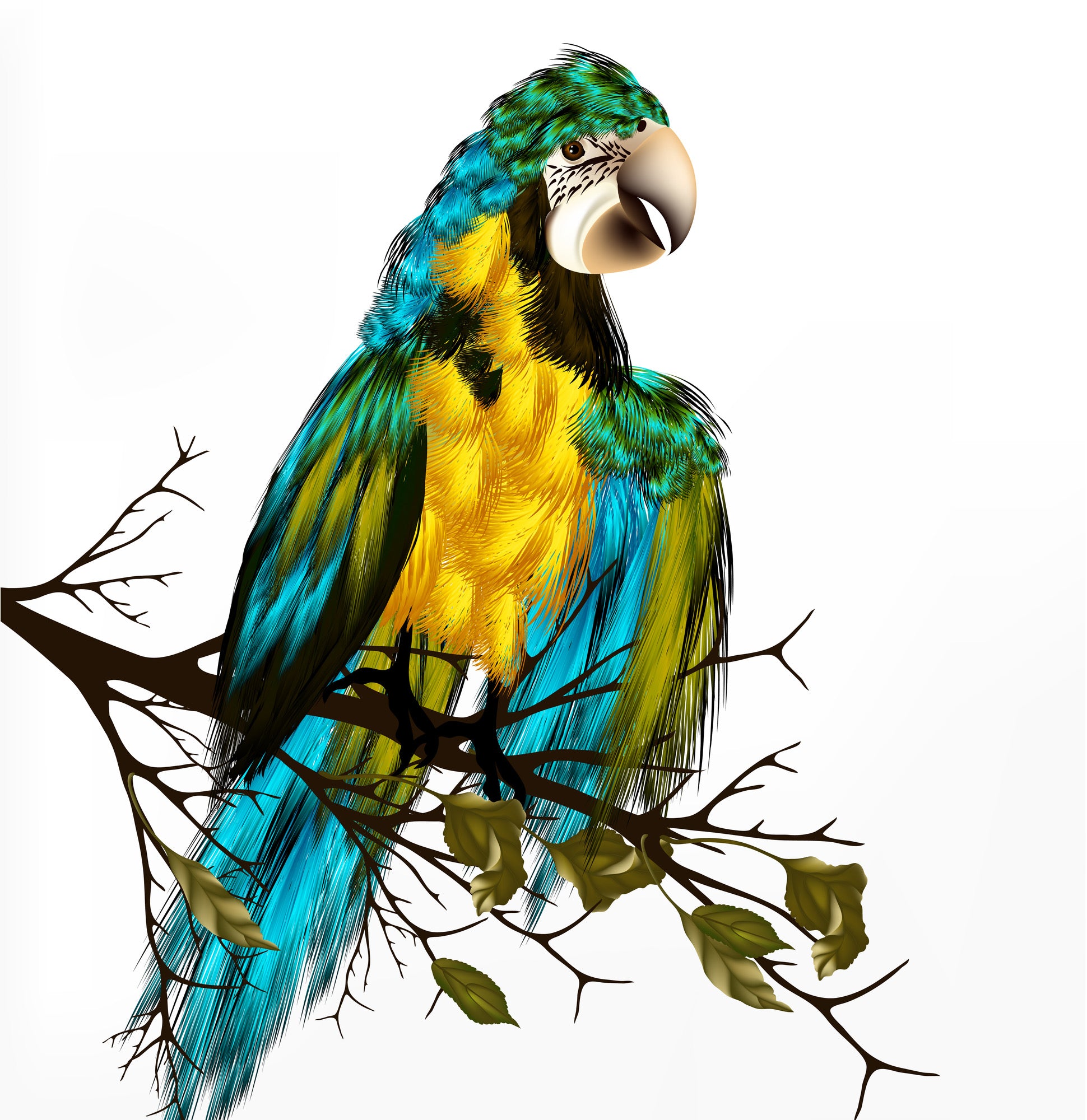 Square Canvas Macaw Bird on a Tree Painting High Quality Print 100% Australian Made