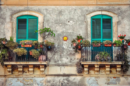 House Windows & Flower Vases Photograph Home Decor Premium Quality Poster Print Choose Your Sizes
