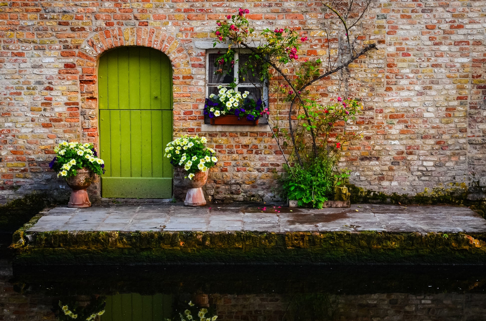 House Door & Flower Vases View Photograph Home Decor Premium Quality Poster Print Choose Your Sizes