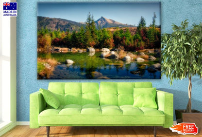Forest Scenery Photograph Print 100% Australian Made