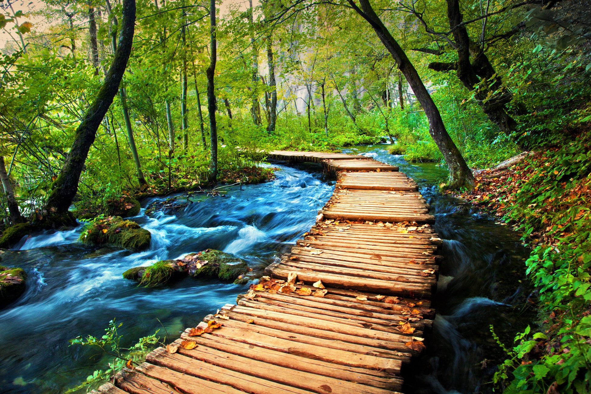 Wooden Pier Over Waterstream View Photograph Home Decor Premium Quality Poster Print Choose Your Sizes