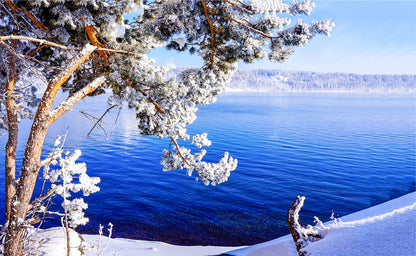 Lake & Forest Winter Scenery Photograph Print 100% Australian Made