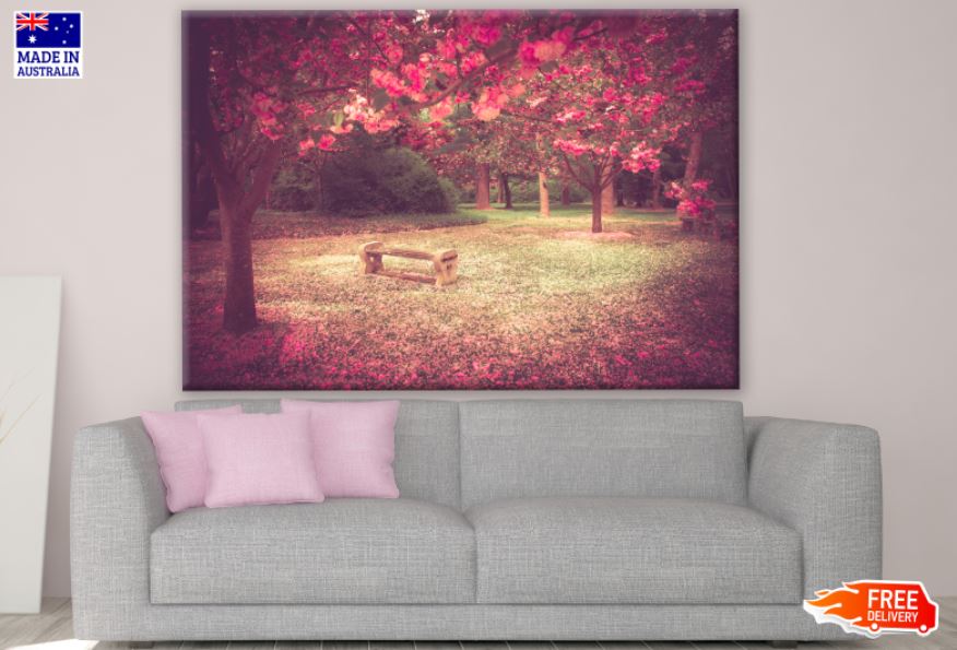 Bench on Blossom Tree Park Photograph Print 100% Australian Made