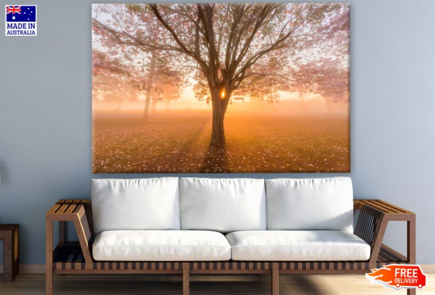 Autumn Trees Forest Photograph Print 100% Australian Made