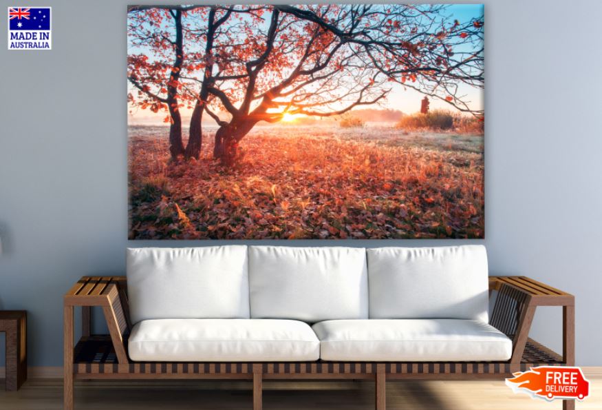 Autumn Trees Forest Photograph Print 100% Australian Made