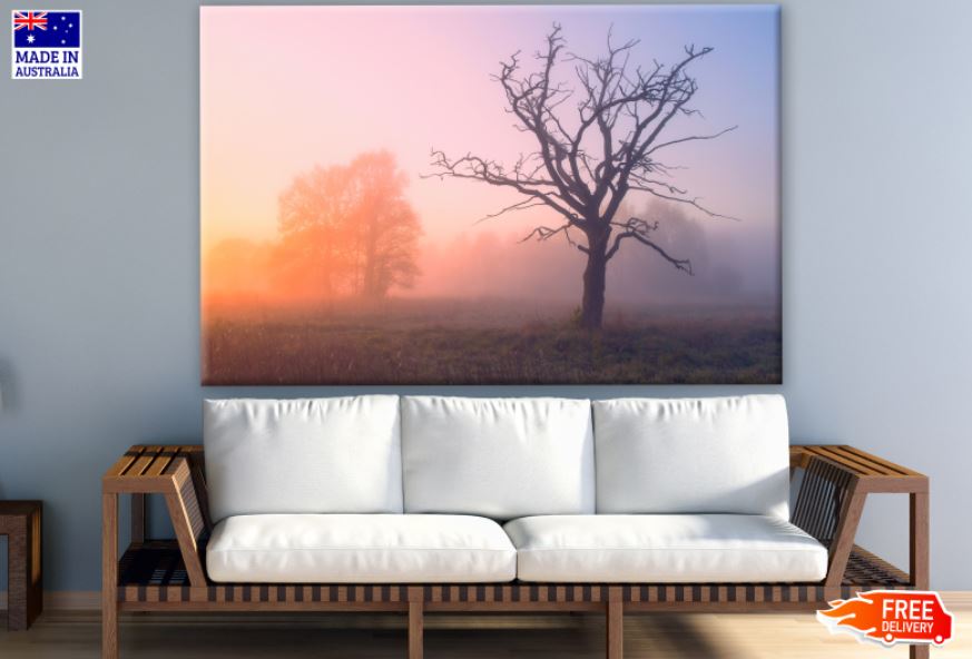 Dead Tree in Mist Photograph Print 100% Australian Made