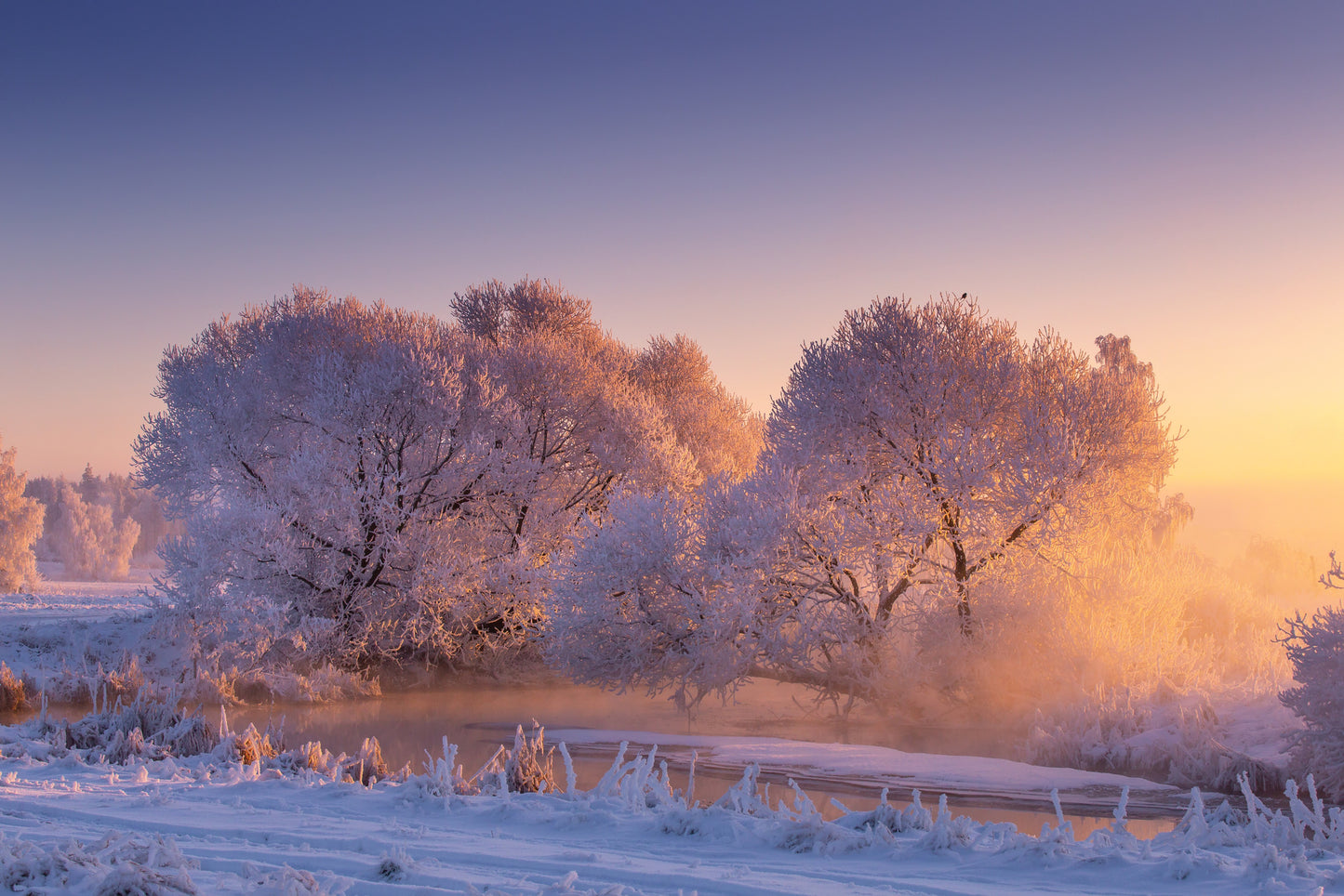 Forest Covered with Snow Sunset Photograph Home Decor Premium Quality Poster Print Choose Your Sizes