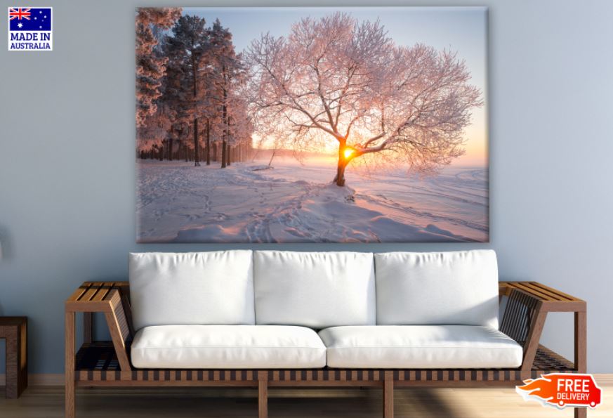 Tree on Snow Sunset Photograph Print 100% Australian Made