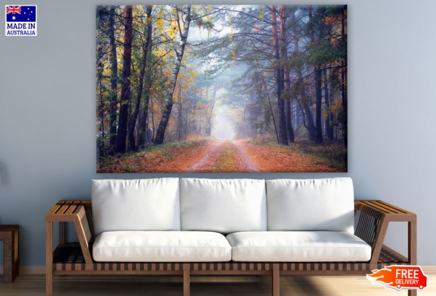 Road in Forest Photograph Print 100% Australian Made