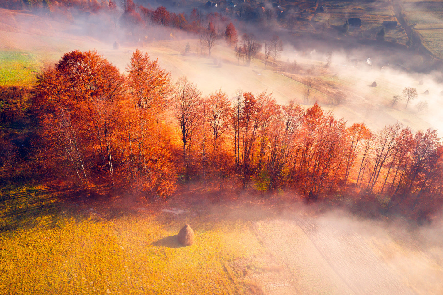 Autumn Forest Aerial View Photograph Print 100% Australian Made