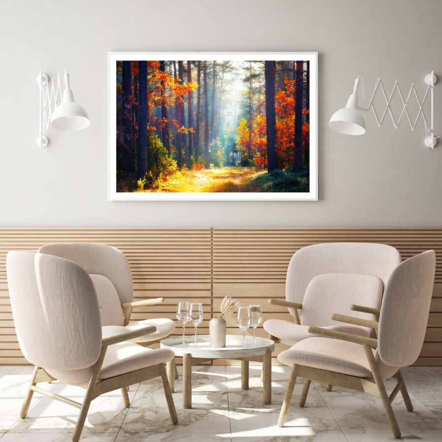 Autumn Forest Scenery Photograph Home Decor Premium Quality Poster Print Choose Your Sizes