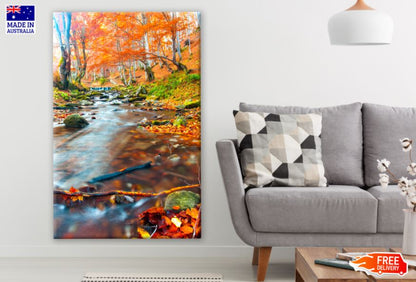 Waterstream in Autumn Forest Photograph Print 100% Australian Made