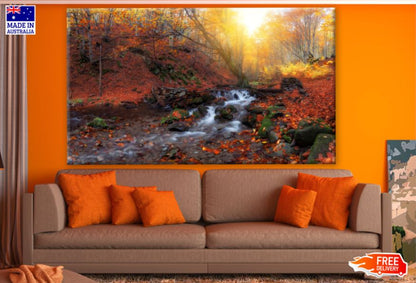 Autumn Forest with Water Stream Photograph Print 100% Australian Made